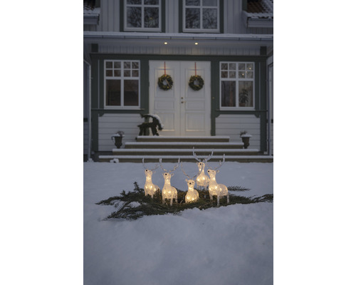 Belyst rengrupp på grangrenar i snön framför ett hus.