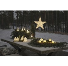 Julbordsdekoration med stjärna, rådjur och fåglar, upplyst