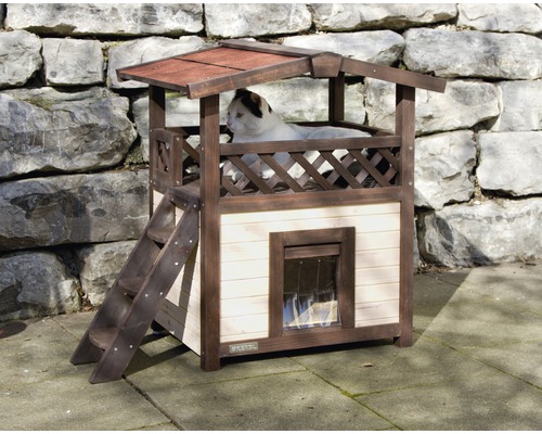 Katthus med två våningar, trappa och utsiktsplattform