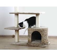 Katt på en klösmöbel med klösstam, liggplatser och ett katthus av flätverk