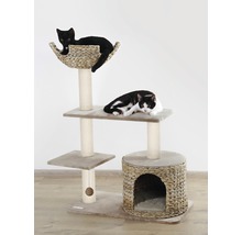 Kattklätterträd med flera nivåer och två katter