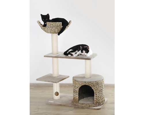 Kattklätterträd med flera nivåer och två katter