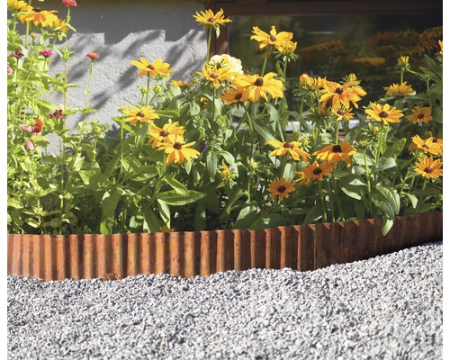 Trädgård med rabattkant av metall, planterad med Rudbeckia och grusgång