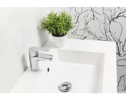 Modern badrumshandfat med kran, avlopp och krukväxt