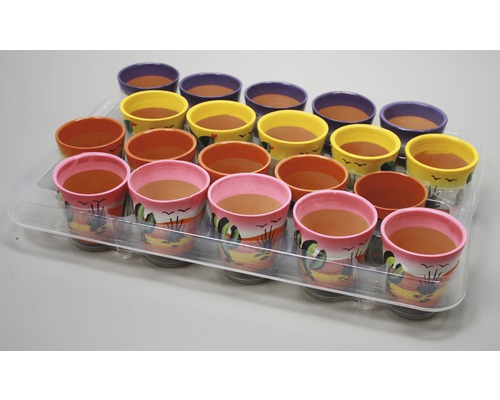 Bricka med flera blomkrukor