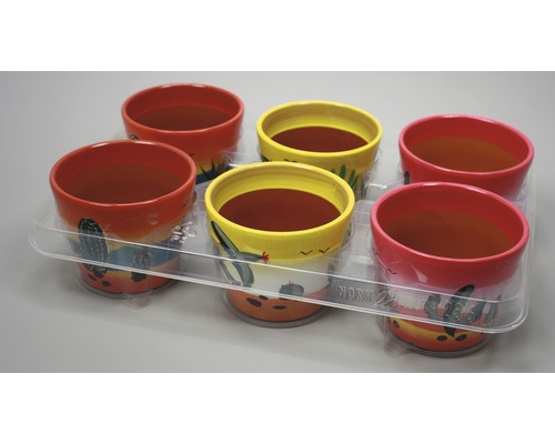 Sex målade blomkrukor i en transparent plastförpackning