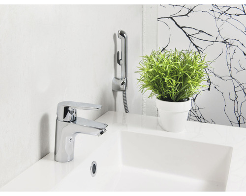 Badrumshandfat med blandare, handdusch och växt