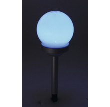 Lysande trädgårdsklot med markspett