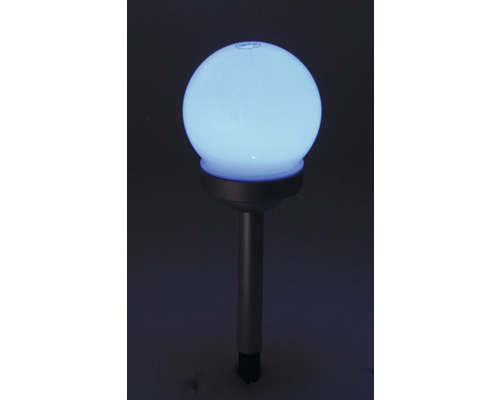 Lysande trädgårdsklot med markspett