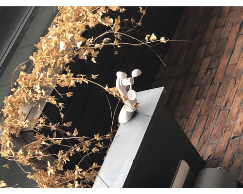 Vindflöjel på en byggnad med tegelvägg och murgröna