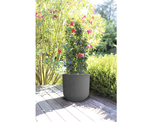 Blomkruka med blommande växt på en träterrass