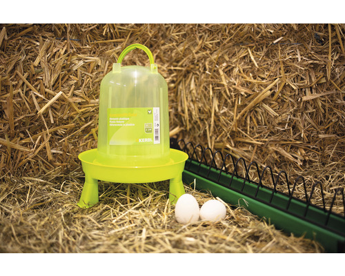 Drickautomat i plast för fjäderfä med två ägg i hö