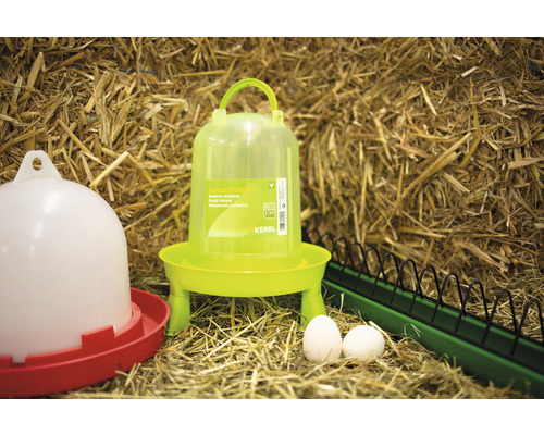 Drickkopp av plast för fjäderfä i hönshuset