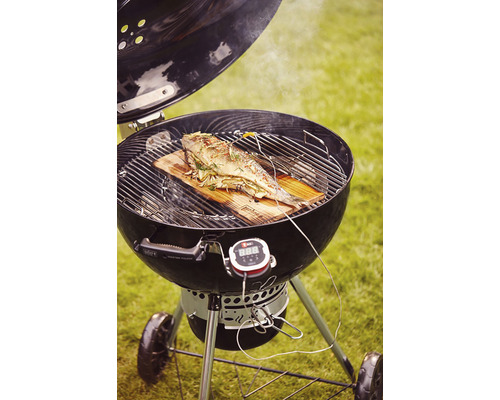 Rund grill med fisk på träplanka och termometer