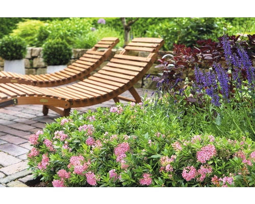Två trädäckstolar i trädgården med blommor