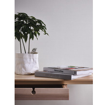 Dekorativ krukväxt i papperspåse på träbord med låda och böcker