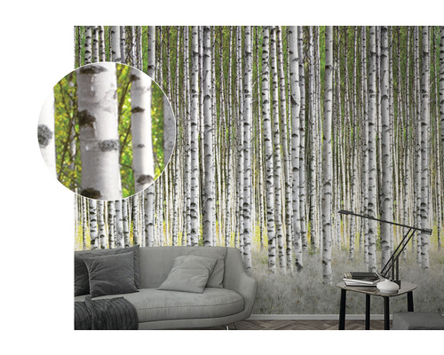 Tapet med björkskogsmönster i vardagsrummet