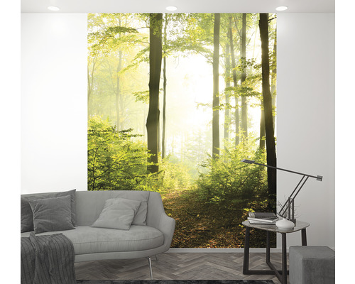 Vardagsrum med fototapet som visar en skogsväg