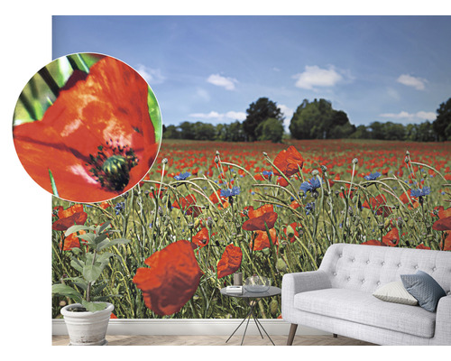 Vardagsrum med tapet som visar ett fält med vallmo