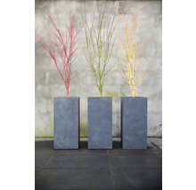 Tre smala, grå planteringskärl med dekorativa grenar i rött, grönt och gult.