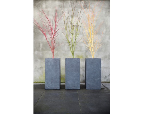 Tre smala, grå planteringskärl med dekorativa grenar i rött, grönt och gult.