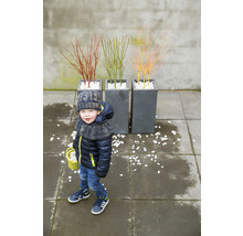 Barn med vinterkläder bredvid tre planterade blomlådor med prydnadsbuskar