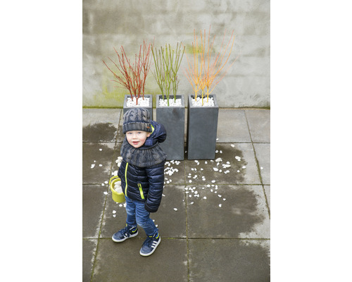 Barn med vinterkläder bredvid tre planterade blomlådor med prydnadsbuskar