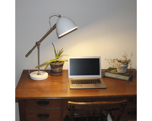 Skrivbord med skrivbordslampa, laptop och krukväxter