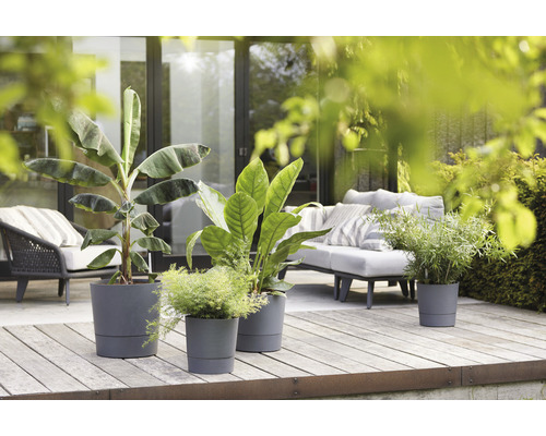 Terrass med möbler och planterade blomkrukor