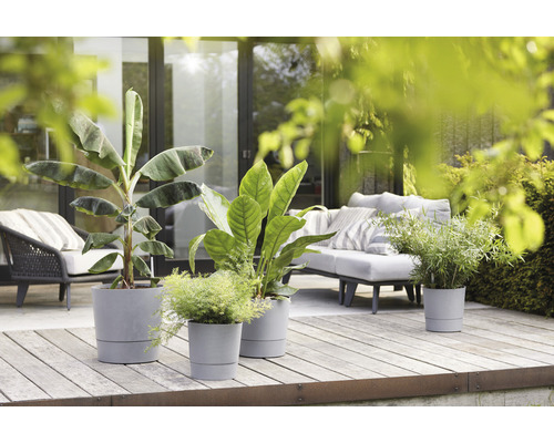 Dekorativa planteringskärl med växter på en träaltan.