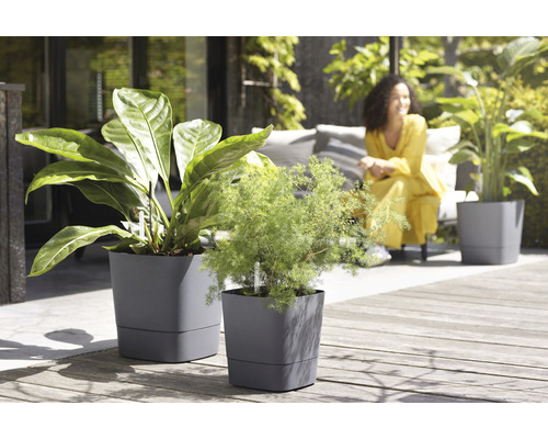 Två grå blomkrukor med växter på en träterrass.