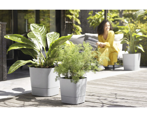 Blomkrukor på en terrass med en kvinna i bakgrunden