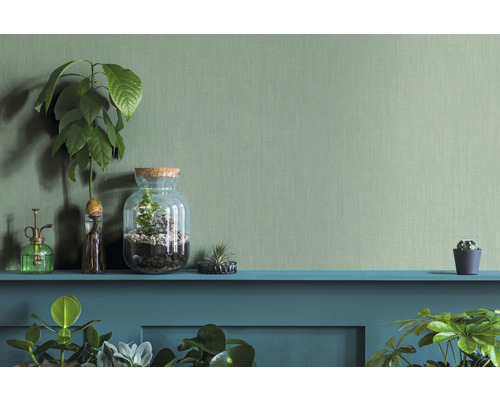 Dekorativ scen med växter, terrarium och blomspruta på en hylla framför en strukturerad vägg