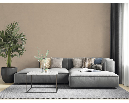 Vardagsrum med grå soffa, soffbord, matta och krukväxt