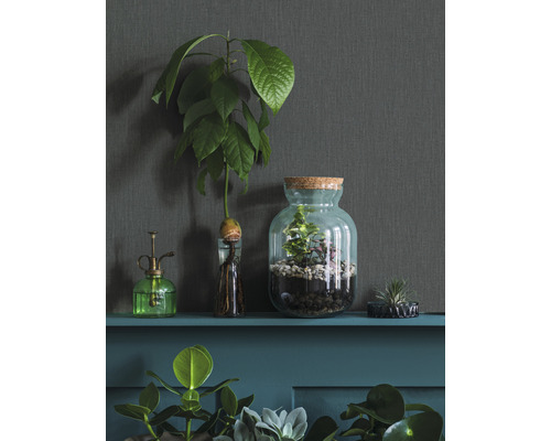 Dekorativa växter i glasbehållare på en hylla