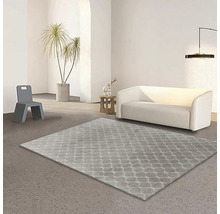 Matta SOLEVITO Romance taupe 140x200cm