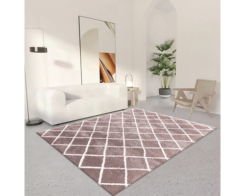 Vardagsrum med soffa, fåtölj, krukväxt och matta med diamantmönster