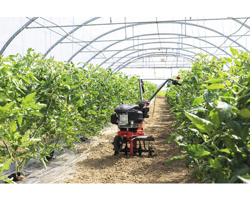 Motorhacka i ett växthus med växter