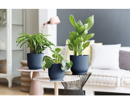 Tre rumsväxter i strukturerade blomkrukor på sidobord i ett vardagsrum.