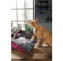 Kattmat FINEVO Sensitive Cat lamm 10kg-thumb-1