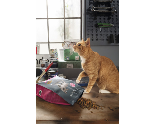 Katt bredvid öppnad förpackning med Finevo kattmat