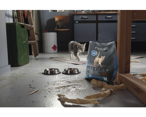 En verkstadsscen med FINEVO kattmat för steriliserade katter, två matskålar och en katt