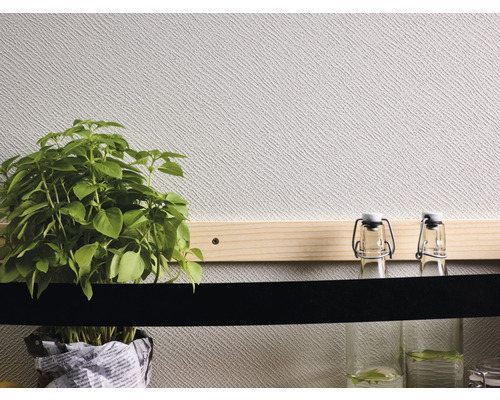 Dekorativ scen med basilika växt och glasflaskor på väggen