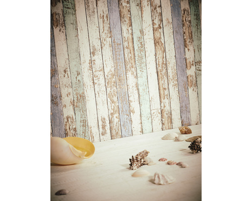 Dekorativa snäckor på träunderlag