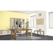 Ljust kontor med skrivbord, hyllor och kontorsmaterial