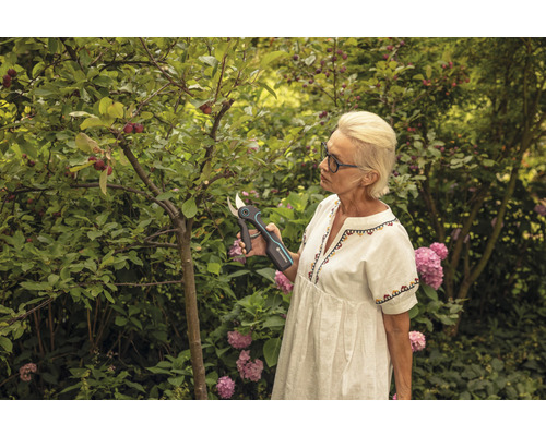 Kvinna beskär träd med batteridriven trädgårdssax i trädgården