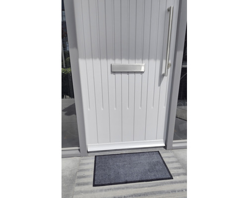 Entrédörr med brevinkast och dörrmatta