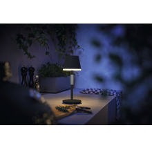 Dekorativ bordslampa på en bänkskiva med örter, kryddkvarnar och en växt i bakgrunden