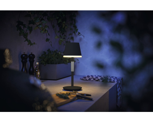 Dekorativ bordslampa på en bänkskiva med örter, kryddkvarnar och en växt i bakgrunden