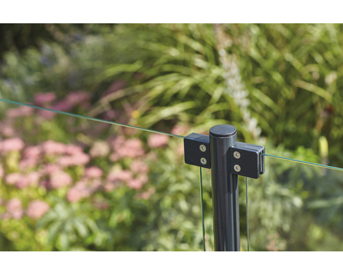 Detaljvy av ett glasstaket med metallstolpar i trädgården